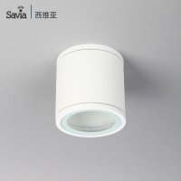 savia简约明装筒灯圆形防雾防水节能吸顶G10光源射灯天花灯免开孔