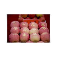 【中华特色馆】洛宁馆上戈红富士75#10kg