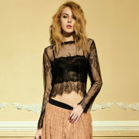 迪鲁奥(DILUAO)白色网纱雷丝v蕾丝打底衫女紧身蕾丝上衣女内搭性感透视罩衫衬衫袖