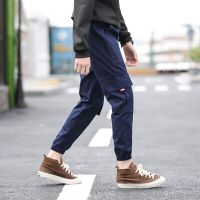 迪鲁奥(DILUAO)[秋上新]童装新款裤子2021薄款工装裤中大童春秋运动裤男童工装口袋长裤子