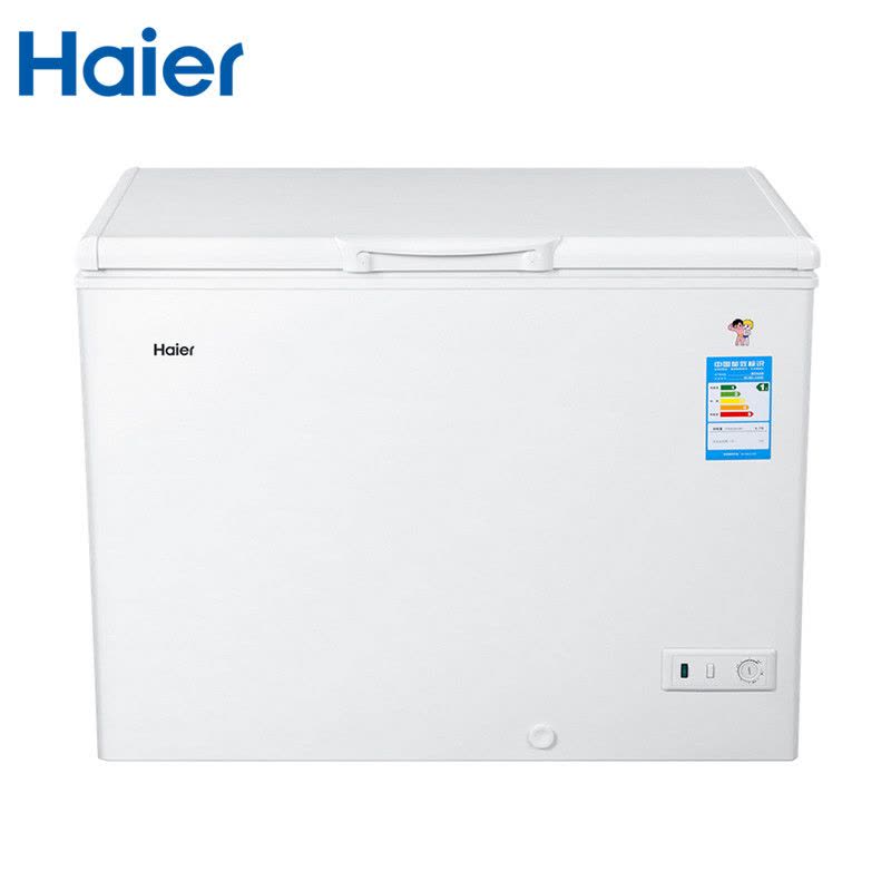 海尔(Haier) BC/BD-318HD 318升商用家用 冷藏冷冻变温柜 冰柜图片