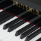 全新德国普鲁特娜PrutenerUP-121立式钢琴 家用教学练习琴 黑色 全国联保