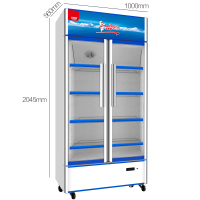 北极熊 LC-553L立式展示柜冷藏冰柜 商用冰箱啤酒饮品 啤酒饮料保鲜柜 双开门冷柜 陈列柜 冰吧 奶茶店设备