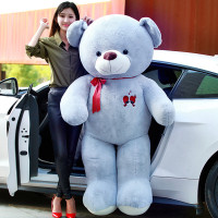 泰迪熊猫公仔抱枕布娃娃女生抱抱熊毛绒玩具生日情人节礼物送女友