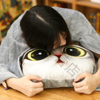 卡通猫咪抱枕被子公仔靠垫暖手插手三合一女生可爱萌礼物毛毯毛绒