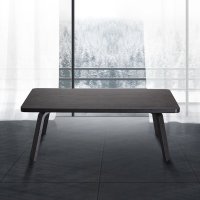 斯品家居 丑小鸭茶几 白蜡木木皮客厅小桌 简洁弧形曲木脚架设计 1.2米 黑/灰色