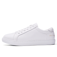 秋季韩版时尚小白鞋女式低帮系带休闲鞋新款板鞋户外旅游鞋
