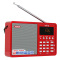 德生（Tecsun） ICR-110 广播录音机/数码音频播放器收音机插卡音箱低音炮音响