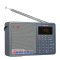 德生（Tecsun） ICR-110 广播录音机/数码音频播放器收音机插卡音箱低音炮音响