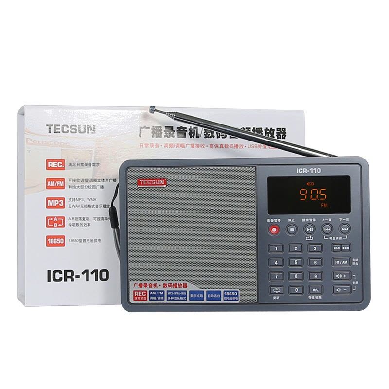 德生（Tecsun） ICR-110 广播录音机/数码音频播放器收音机插卡音箱低音炮音响图片