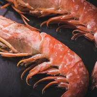 新春好礼 中锦生鲜 阿根廷船冻红虾 L2级大红虾 平均身长17cm左右 2kg/盒