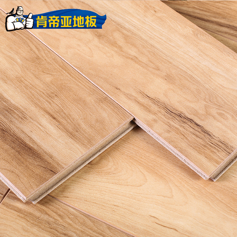肯帝亚地板 强化复合地板 12mm 木地板 三色可选 RM01梦旅人