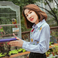 依梅儿2017春装新款绣花条纹衬衫 百搭显瘦长袖衬衣打底衫女潮