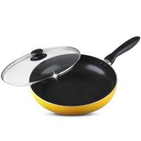 苏泊尔平底锅煎锅 炫彩不粘锅 燃气灶电磁炉通用锅具 28CM PJ28M5