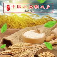 【中华特色】环县馆 麦上客 石磨小麦粉袋装4kg 面条粉 饺子面粉 面包粉 普通面粉 环县特产 西北