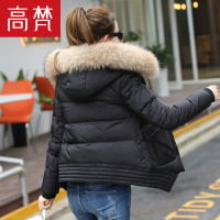 高梵GOLDFARM冬季羽绒外套 时尚日韩风连帽短款羽绒服女士貉子毛领