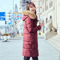 高梵GOLDFARM冬季新款连帽貉子毛领中长款羽绒服女士时尚百搭保暖外套