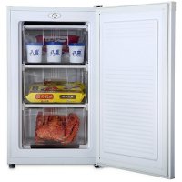奥马（Homa）BD-73 73升小冷柜 家用 一级能效 立式冷柜（白色）