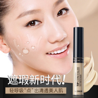 TheSaem 得鲜遮瑕粉液笔棒2#健康色6.5g粉底液 遮盖黑眼圈斑点痘印 唇部打底膏 各种肤质适用 韩国原装正品