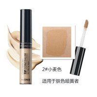 TheSaem 得鲜遮瑕粉液笔棒2#健康色6.5g粉底液 遮盖黑眼圈斑点痘印 唇部打底膏 各种肤质适用 韩国原装正品