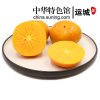 【山西运城】硬柿子 5斤新鲜水果 甜脆 直接吃