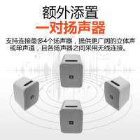 JBL CONTROL X WIRELESS有源无线高保真 蓝牙便携音箱 白色