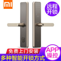 小米智能锁金色c级指纹锁防盗家用公司密码锁电子锁 小米米家智能锁 磨砂金