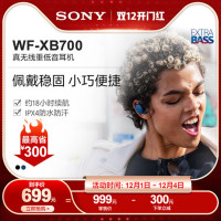 Sony/索尼 WF-XB700 真无线立体声耳机 重低音 免提通话