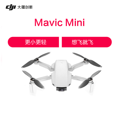 DJI 大疆御Mini Mavic Mini 航拍小飞机 遥控飞机航拍 无人机 小型航拍器.畅飞套装+随心换