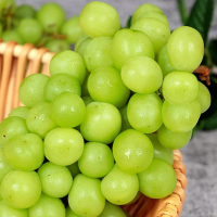 新鲜阳光玫瑰葡萄4斤装 当季新鲜水果