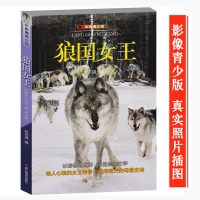 狼国女王 影像青少版 彩色照片插图 沈石溪动物小说系列正版六五四三年级 小学生推荐阅读课外书籍畅销书必读儿童文学8-10