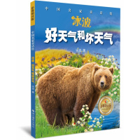 好天气和坏天气 冰波 中国儿童文学童话书籍青少年读物7-10岁彩图拼音版小学生课外阅读中国名家童话馆浙江摄影出版