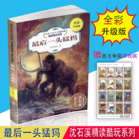 最后一头猛犸 沈石溪精读酷玩系列 全彩升级版 浙江教育出版社 动物小说大王沈石溪小学三四五六年级动物故事书 少年儿童文学