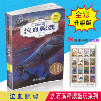泣血鲸魂 沈石溪精读酷玩系列 全彩升级版 浙江教育出版社 动物小说大王沈石溪小学三四五六年级动物故事书 少年儿童文学