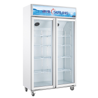 穂凌(SUILING)LG4-882M2F 风冷商用双门立式冷柜单温冷藏保鲜饮料展示冰柜