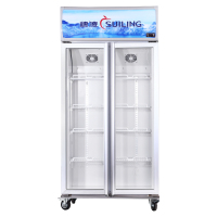 穂凌(SUILING)LG4-882M2F 风冷商用双门立式冷柜单温冷藏保鲜饮料展示冰柜