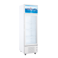 穗凌(SUILING)LG4-209L 立式展示冰柜商用冷藏饮料保鲜冷柜单温冰柜