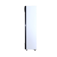 穗凌(SUILING) LG4-319LT （豪华型）商用冰柜立式单温冷藏展示冷柜单温饮料柜