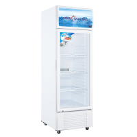 穗凌(SUILING) LG4-253LW 商用立式展示冰柜单温风冷无霜商用冷柜