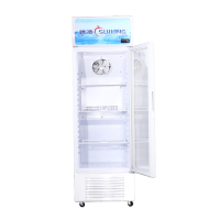 穗凌(SUILING) LG4-253LW 商用立式展示冰柜单温风冷无霜商用冷柜