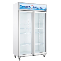 穗凌(SUILING) LG4-482M2商用冷柜展示柜冷藏单温玻璃门保鲜饮料冰柜