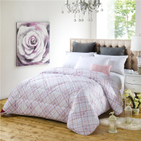 澳尔天奴家纺条纹格印花纤维被超柔磨毛贴身舒适保暖冬被春秋被芯学生被化纤被床上用品