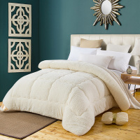 澳尔天奴家纺羊羔绒被被芯冬被加厚柔软舒适贴身保暖冬天学生宿舍冬季单人双人春秋被褥床上用品