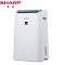 夏普(sharp)DW-CE15F-W除湿机 家用干衣抽湿机 空气消毒净化器吸湿干燥机