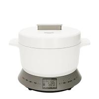 松下（Panasonic） SR-N101 电磁炉电饭煲一体机 IH精准火力控制 备长炭厚锅