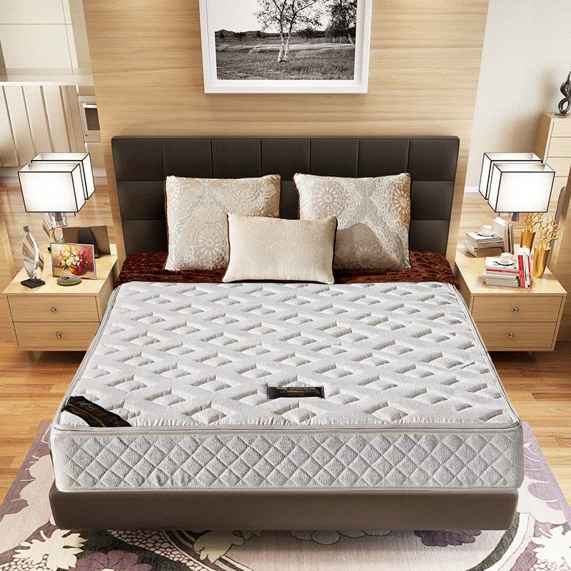 弹簧床垫1.5m1.8米天然椰棕床垫护脊椎床垫单双人床垫软硬两用图片