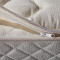 弹簧床垫1.5m1.8米天然椰棕床垫护脊椎床垫单双人床垫软硬两用