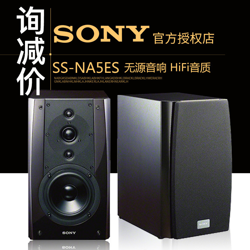 Sony/索尼 SS-NA5ES 家庭客厅书架式扬声器无源音箱HIFI音响(单只)