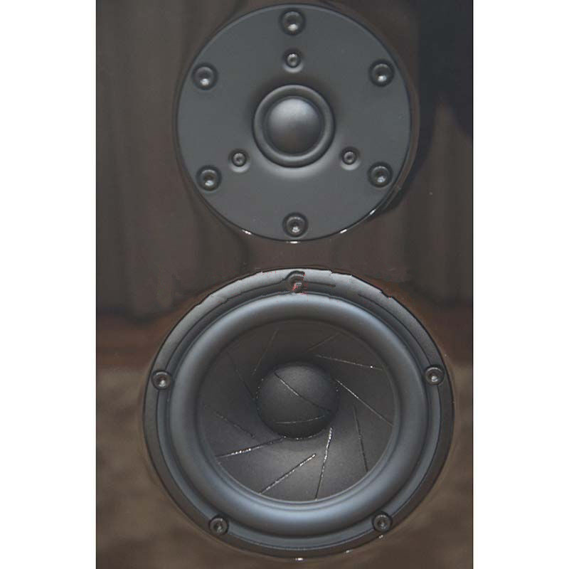 Sony/索尼 SS-AR1落地式无源音箱家庭客厅电视机HIFI音响