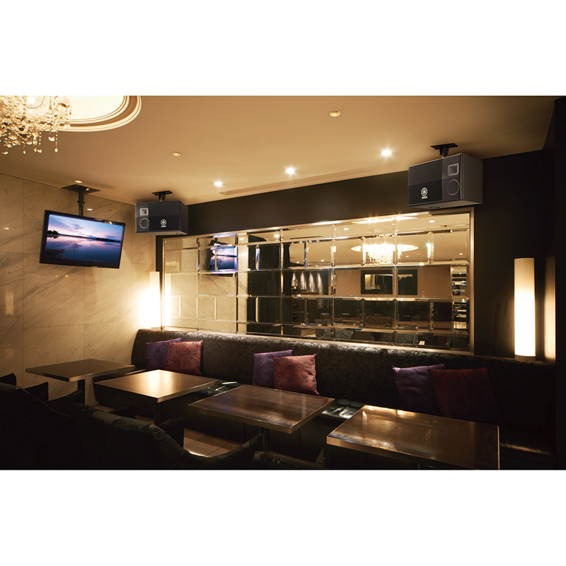 yamaha/雅马哈 kms-3000 专业音响ktv卡拉ok音箱 正品行货(对)